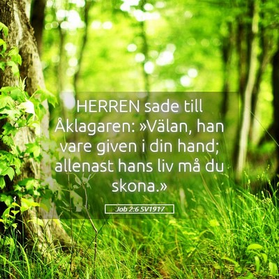 Picture 05 - Job 2:6 SV1917 - HERREN sade till Åklagaren: »Välan, han vare - Bible Verse Picture
