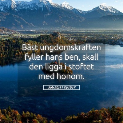 Picture 05 - Job 20:11 SV1917 - Bäst ungdomskraften fyller hans ben, skall den - Bible Verse Picture