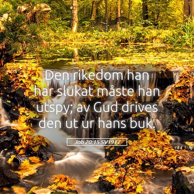 Picture 05 - Job 20:15 SV1917 - Den rikedom han har slukat måste han utspy; av - Bible Verse Picture