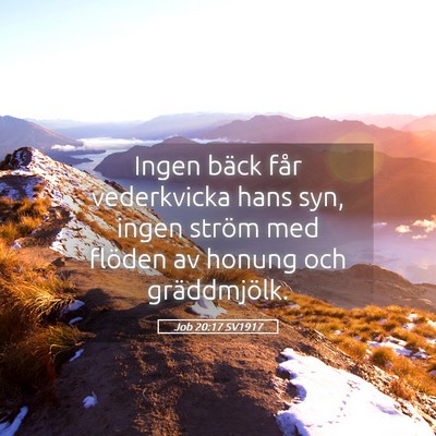 Picture 05 - Job 20:17 SV1917 - Ingen bäck får vederkvicka hans syn, ingen - Bible Verse Picture