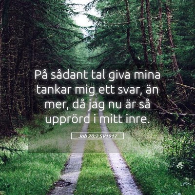 Picture 05 - Job 20:2 SV1917 - På sådant tal giva mina tankar mig ett svar, - Bible Verse Picture