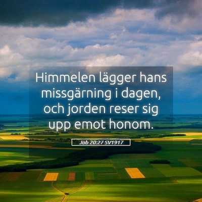 Picture 05 - Job 20:27 SV1917 - Himmelen lägger hans missgärning i dagen, och - Bible Verse Picture