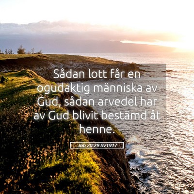 Picture 05 - Job 20:29 SV1917 - Sådan lott får en ogudaktig människa av Gud, - Bible Verse Picture