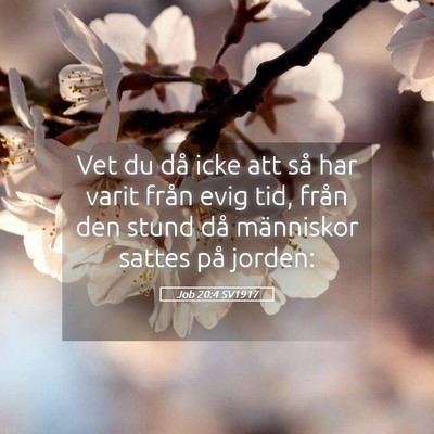 Picture 05 - Job 20:4 SV1917 - Vet du då icke att så har varit från evig tid, - Bible Verse Picture