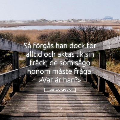 Picture 05 - Job 20:7 SV1917 - Så förgås han dock för alltid och aktas lik - Bible Verse Picture