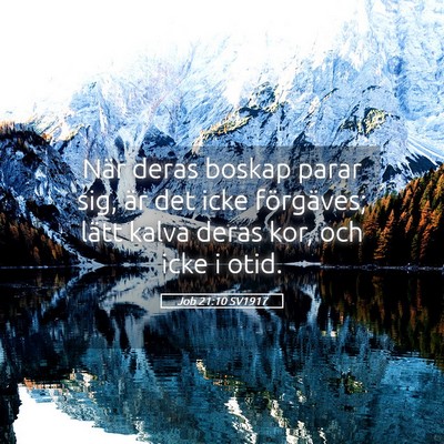 Picture 05 - Job 21:10 SV1917 - När deras boskap parar sig, är det icke - Bible Verse Picture