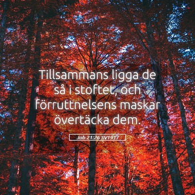 Picture 05 - Job 21:26 SV1917 - Tillsammans ligga de så i stoftet, och - Bible Verse Picture