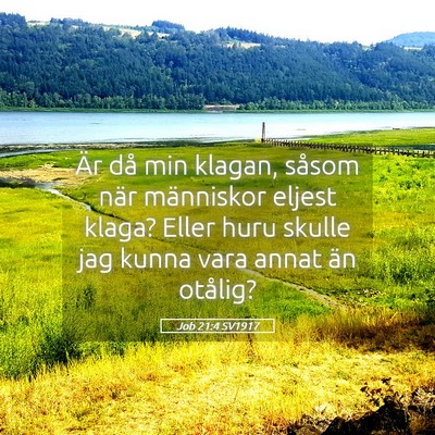 Picture 05 - Job 21:4 SV1917 - Är då min klagan, såsom när människor eljest - Bible Verse Picture