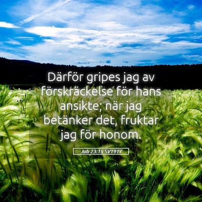 Picture 05 - Job 23:15 SV1917 - Därför gripes jag av förskräckelse för hans - Bible Verse Picture