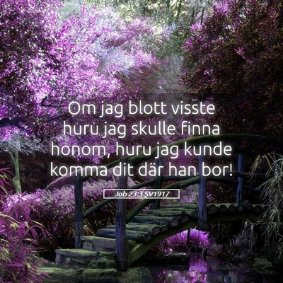 Picture 05 - Job 23:3 SV1917 - Om jag blott visste huru jag skulle finna honom, - Bible Verse Picture