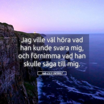 Picture 05 - Job 23:5 SV1917 - Jag ville väl höra vad han kunde svara mig, och - Bible Verse Picture