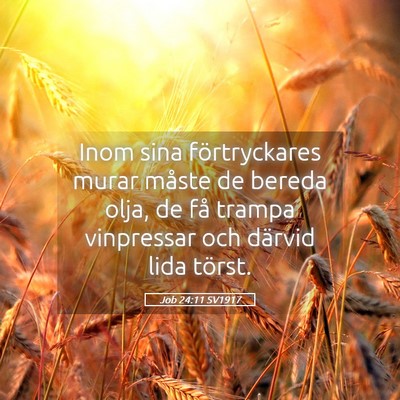 Picture 05 - Job 24:11 SV1917 - Inom sina förtryckares murar måste de bereda - Bible Verse Picture