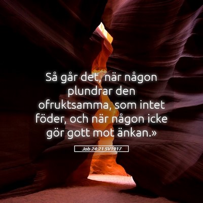 Picture 05 - Job 24:21 SV1917 - Så går det, när någon plundrar den - Bible Verse Picture