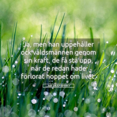 Picture 05 - Job 24:22 SV1917 - Ja, men han uppehåller ock våldsmännen genom - Bible Verse Picture