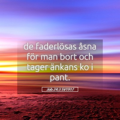 Picture 05 - Job 24:3 SV1917 - de faderlösas åsna för man bort och tager - Bible Verse Picture
