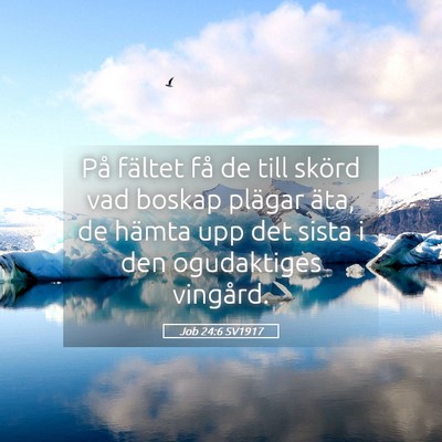 Picture 05 - Job 24:6 SV1917 - På fältet få de till skörd vad boskap plägar - Bible Verse Picture