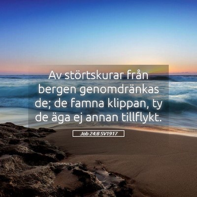 Picture 05 - Job 24:8 SV1917 - Av störtskurar från bergen genomdränkas de; de - Bible Verse Picture