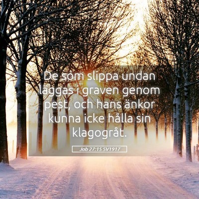 Picture 05 - Job 27:15 SV1917 - De som slippa undan läggas i graven genom pest, - Bible Verse Picture