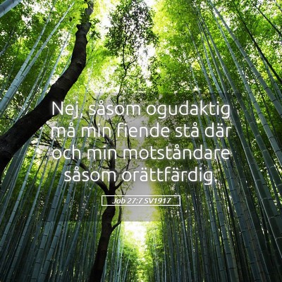 Picture 05 - Job 27:7 SV1917 - Nej, såsom ogudaktig må min fiende stå där - Bible Verse Picture
