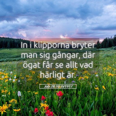 Picture 05 - Job 28:10 SV1917 - In i klipporna bryter man sig gångar, där ögat - Bible Verse Picture