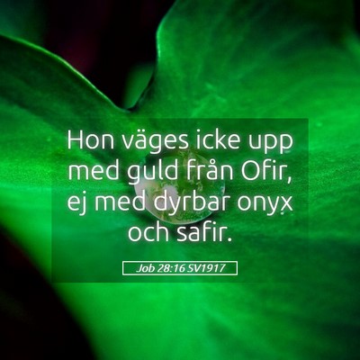 Picture 05 - Job 28:16 SV1917 - Hon väges icke upp med guld från Ofir, ej med - Bible Verse Picture