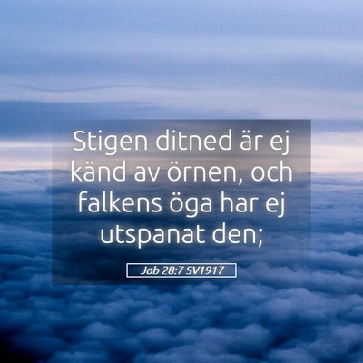 Picture 05 - Job 28:7 SV1917 - Stigen ditned är ej känd av örnen, och falkens - Bible Verse Picture