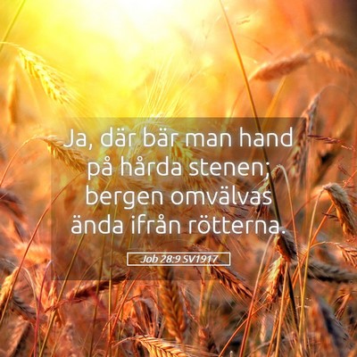 Picture 05 - Job 28:9 SV1917 - Ja, där bär man hand på hårda stenen; bergen - Bible Verse Picture