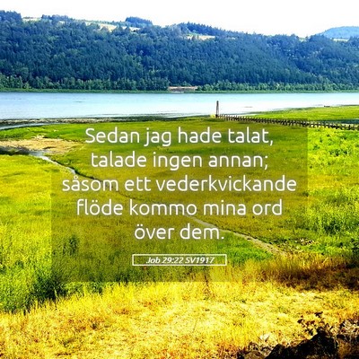 Picture 05 - Job 29:22 SV1917 - Sedan jag hade talat, talade ingen annan; såsom - Bible Verse Picture