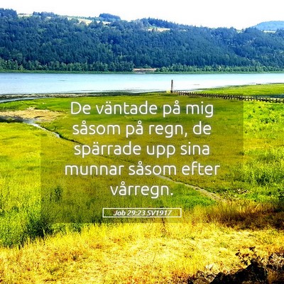 Picture 05 - Job 29:23 SV1917 - De väntade på mig såsom på regn, de spärrade - Bible Verse Picture