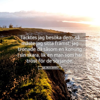 Picture 05 - Job 29:25 SV1917 - Täcktes jag besöka dem, så måste jag sitta - Bible Verse Picture