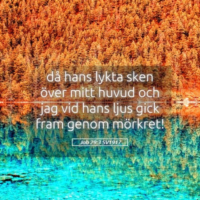 Picture 05 - Job 29:3 SV1917 - då hans lykta sken över mitt huvud och jag vid - Bible Verse Picture