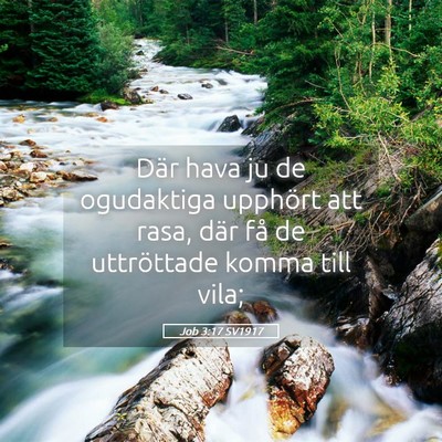 Picture 05 - Job 3:17 SV1917 - Där hava ju de ogudaktiga upphört att rasa, - Bible Verse Picture