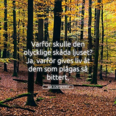 Picture 05 - Job 3:20 SV1917 - Varför skulle den olycklige skåda ljuset? Ja, - Bible Verse Picture
