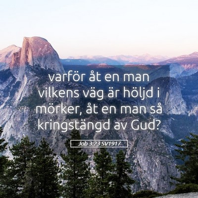 Picture 05 - Job 3:23 SV1917 - varför åt en man vilkens väg är höljd i - Bible Verse Picture