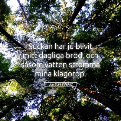 Picture 05 - Job 3:24 SV1917 - Suckan har ju blivit mitt dagliga bröd, och - Bible Verse Picture