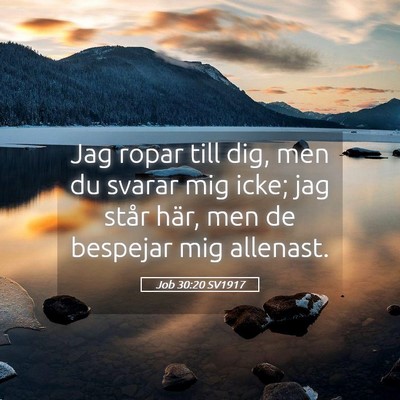 Picture 05 - Job 30:20 SV1917 - Jag ropar till dig, men du svarar mig icke; jag - Bible Verse Picture