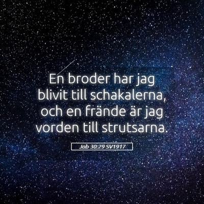 Picture 05 - Job 30:29 SV1917 - En broder har jag blivit till schakalerna, och en - Bible Verse Picture