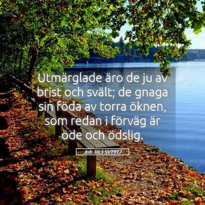 Picture 05 - Job 30:3 SV1917 - Utmärglade äro de ju av brist och svält; de - Bible Verse Picture
