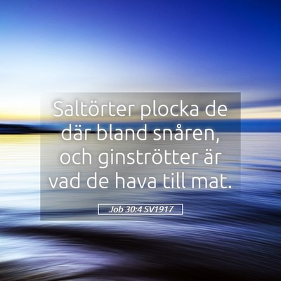Picture 05 - Job 30:4 SV1917 - Saltörter plocka de där bland snåren, och - Bible Verse Picture
