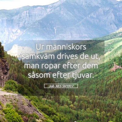 Picture 05 - Job 30:5 SV1917 - Ur människors samkväm drives de ut, man ropar - Bible Verse Picture