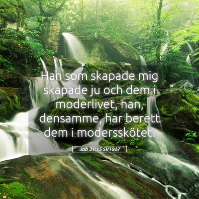 Picture 05 - Job 31:15 SV1917 - Han som skapade mig skapade ju och dem i - Bible Verse Picture