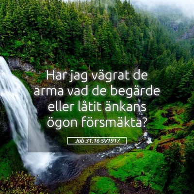 Picture 05 - Job 31:16 SV1917 - Har jag vägrat de arma vad de begärde eller - Bible Verse Picture
