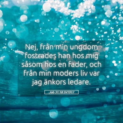 Picture 05 - Job 31:18 SV1917 - Nej, från min ungdom fostrades han hos mig - Bible Verse Picture