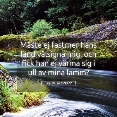 Picture 05 - Job 31:20 SV1917 - Måste ej fastmer hans länd välsigna mig, och - Bible Verse Picture
