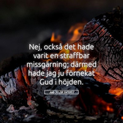 Picture 05 - Job 31:28 SV1917 - Nej, också det hade varit en straffbar - Bible Verse Picture