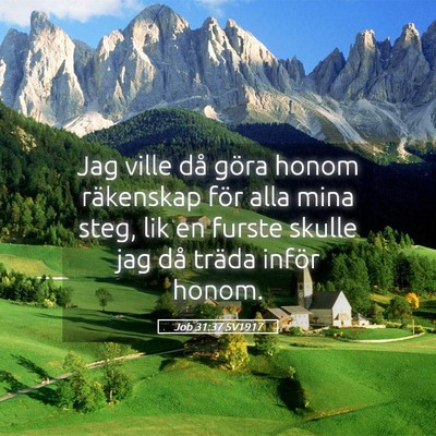 Picture 05 - Job 31:37 SV1917 - Jag ville då göra honom räkenskap för alla - Bible Verse Picture