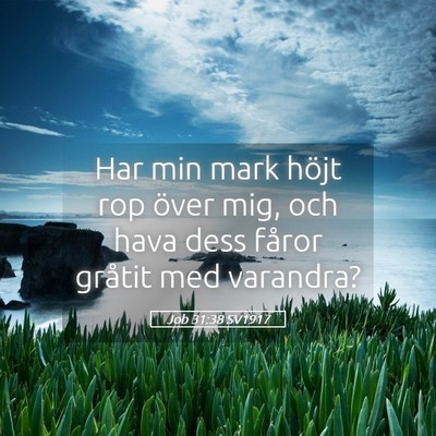 Picture 05 - Job 31:38 SV1917 - Har min mark höjt rop över mig, och hava dess - Bible Verse Picture