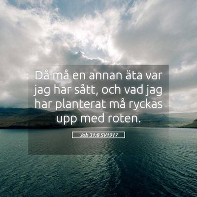 Picture 05 - Job 31:8 SV1917 - Då må en annan äta var jag har sått, och vad - Bible Verse Picture