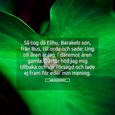 Picture 05 - Job 32:6 SV1917 - Så tog då Elihu, Barakels son, från Bus, till - Bible Verse Picture