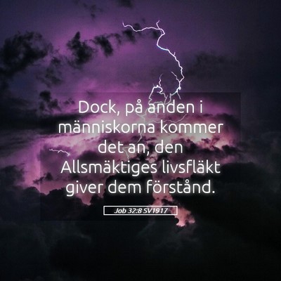 Picture 05 - Job 32:8 SV1917 - Dock, på anden i människorna kommer det an, den - Bible Verse Picture